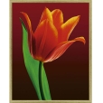 Постер "Тюльпан", 40 см х 50 см Производитель: Россия Артикул: WG 7136 инфо 9944v.